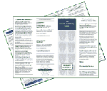 Handbook